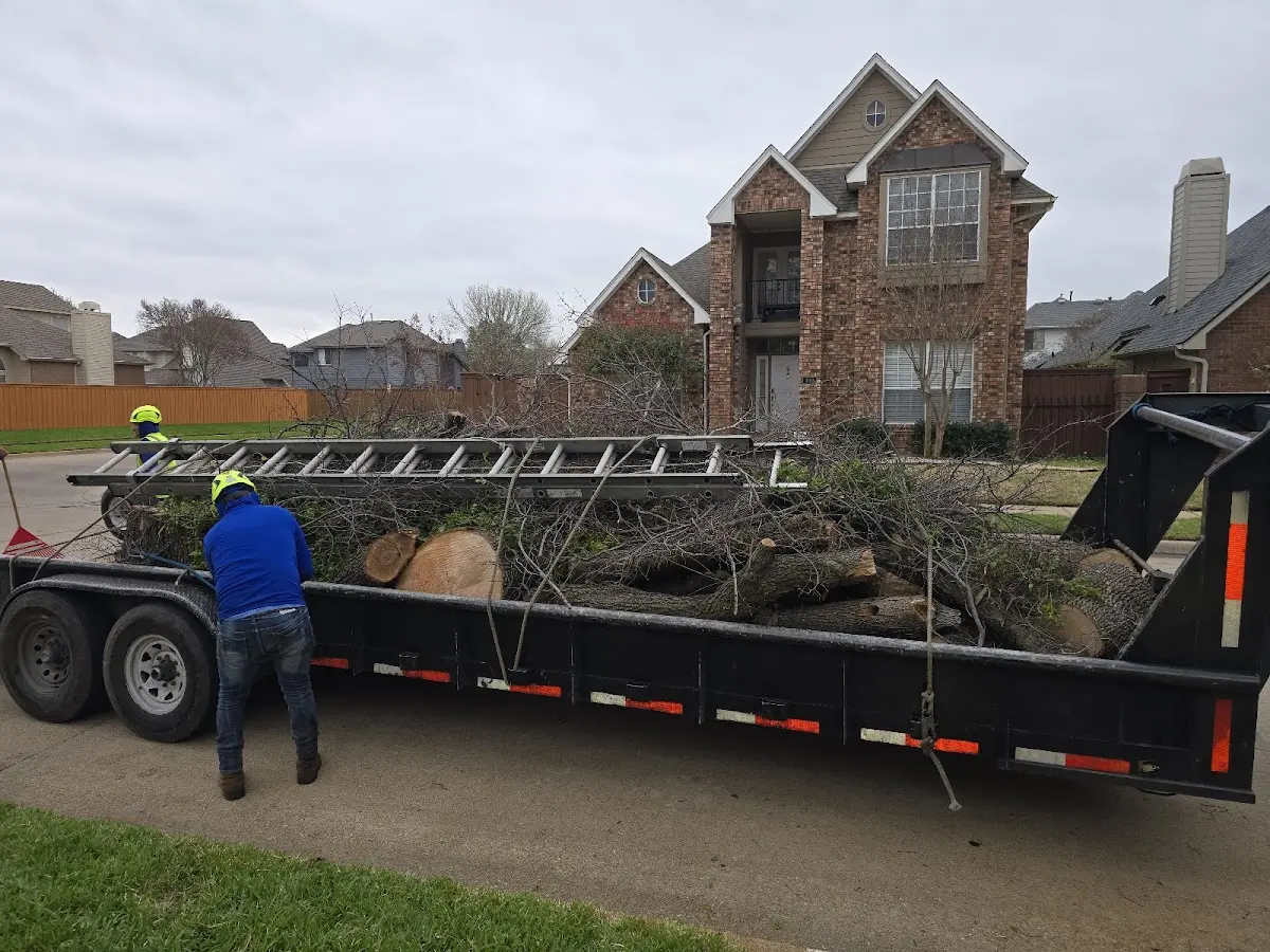 Expert Lot Clearing with proper safety equipment in Simms